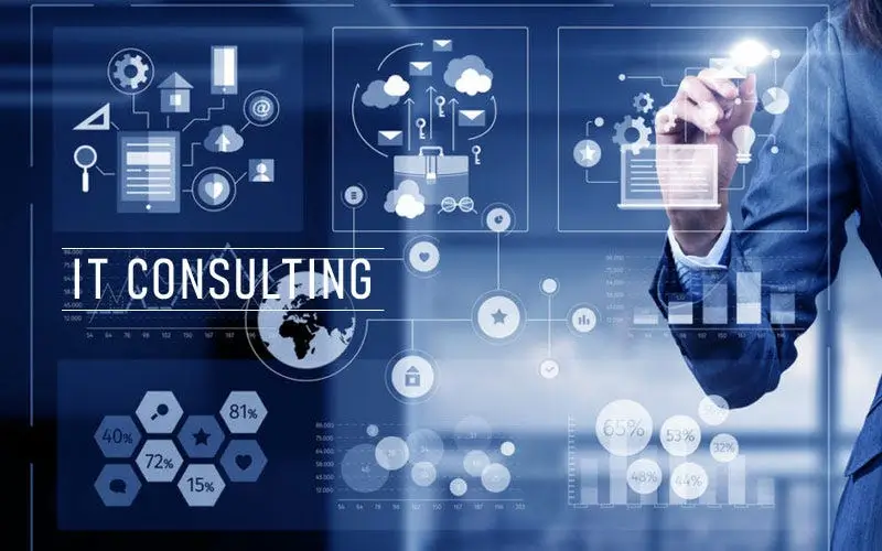 SynoForce IT Consulting Services Overview